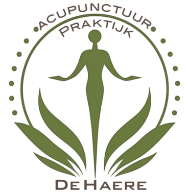 Acupunctuurpraktijk De Haere